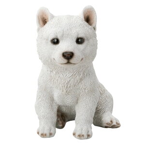 yő7000~OFFN[| 1116z Č̃I[ig q K[f u G87912