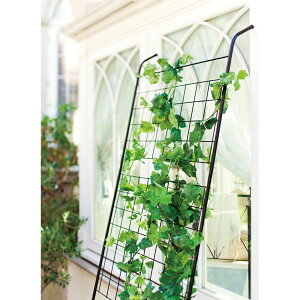 yő8000~OFFN[| 11111F59z ACAO[J[e gX G86717