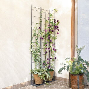 yő8000~OFFN[| 11271F59z ւɂ҂IȃXy[XgX M[ G86204