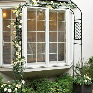 yő7000~OFFN[| 1116z ƍ̒߂łA[` [sAX^C [bp    ȒPݒu X`[    KN K[fjO G86701