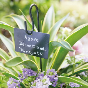 yő7000~OFFN[| 1116z vcl[v[g 8{g K[fjOObY G85605