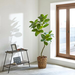 _ő8000~ItN[| 1027959^ ו̎ɂCeAO[ S̖ tFCN CeAO[ lHϗtA  581801