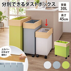 レビュー記入でクーポン配布 キッチン用ゴミ箱 掃除用品 ゴミ箱 キッチン用 分別 3分別 ≪30L≫ Hanger/ハンガー ダストボックス 813313