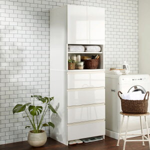 yő8000~OFFN[| 11271F59z Xy[Xɍ킹ĉsIׂTj^[`FXg s51cmE60cm ʏ[ Ԏ[ gC ʏ h[[ 587625