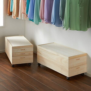 _LINEFo^500~ItN[|^ y[`FXgzˈߑP[X 95.5cm^Cv 3ii2[1j [{bNX [ t[{bNX 532110