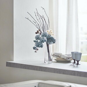 yő5000~OFFN[| 12^1z Ӓ̃AWg x[Xt A[gt[  CeAO[ KR0595 _LINEFo^500~ItN[|^