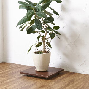 _LINEFo^500~ItN[|^ LX^[tv^[x[X EH[ibg p40cm t[X^h v^[X^h ԑ H75439