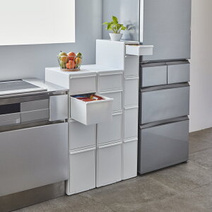 _LINEFo^500~ItN[|^ oςXLb`XgbJ[ 4ii97cmjE25.5cm Lb`XgbJ[ Ԏ[ Lb`[ 541935