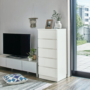 yő8000~OFFN[| 11271F59z ҂TCYtXCh[`FXg 5i 109.5cmE50cm rO rO[ 531709