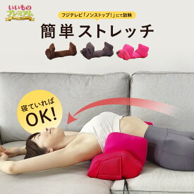 ＼LINE友だち登録で200円オフクーポン／ エアプリエ DELUXE（デラックス） エアプリエ DELUXE（デラックス） 美姿勢 椅子 ストレッチ エアー お腹 ぽっこりお腹 肩甲骨 骨盤 美脚 猫背 寝るだけ 器具 グッズ 運動 スリミング器具 シェイプ AR2549