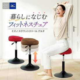 ＼LINE友だち登録で200円オフクーポン／ MIZUNO/ミズノ スクワットスリール デルタ フィットネス器具 シェイプ AR2855