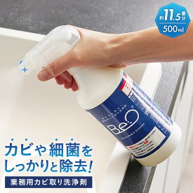 ＼LINE友だち登録で200円オフクーポン／ プロのハウスクリーナーが使う業務用住宅洗浄剤 BeO ビーオ カビ取り剤 カビ取り洗浄剤 カビ取り 木材 強力 カビ取りスプレー 壁紙 外壁 お風呂 ベランダ 掃除用洗剤 掃除洗剤 カビ除去 カビ 細菌除去 洗剤 ハウスキーピング AR2510
