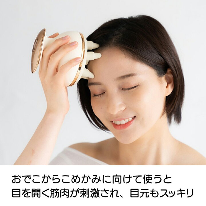 楽天市場】＼LINE友だち登録で200円オフクーポン／ クリアージュ 