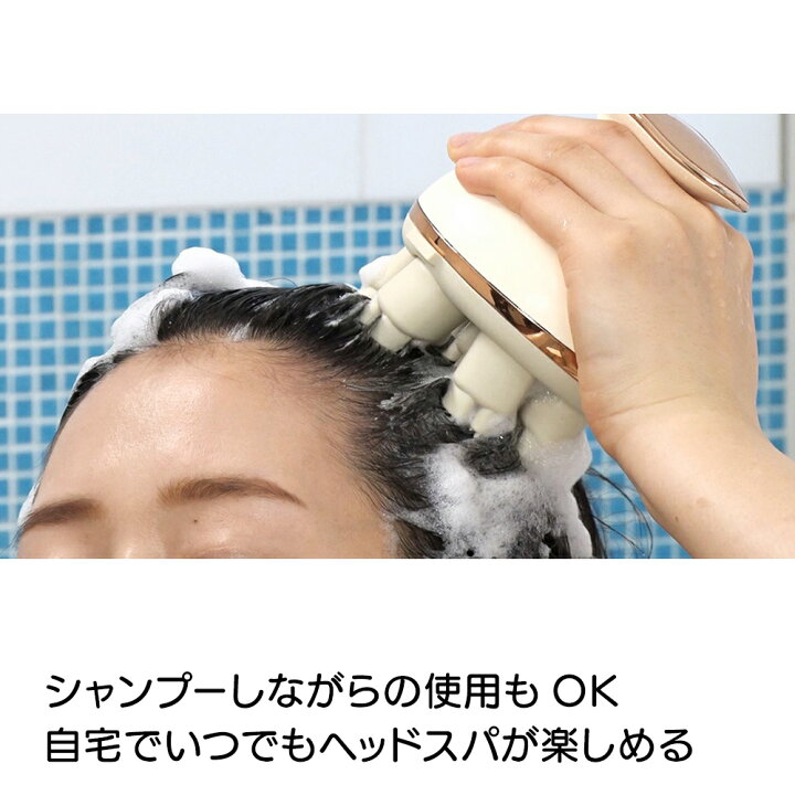 楽天市場】ヘアケア器具 美容 いいものプレミアム フェイスケア 