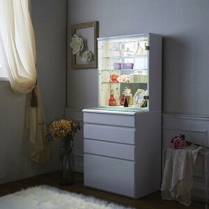 yN[|zz 11271F59z LEDCgt yhbT[V[Y KXLrlbgt `FXg 60cm rO rO[ 585304