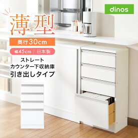 【クーポン最大5千円OFF 1/24 20時から4h限定】 ストレートカウンター下収納庫 引き出し 幅45 奥行30cmタイプ リビング リビング収納 629305 ＼LINE友だち登録でクーポン／