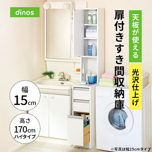 yN[|zz 11271F59z Vg dグtԎ[ nC^CvE15cm ʏ[ Ԏ[ gC ʏ h[[ 587536