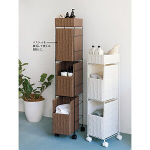 ^ԃh[S^[ 3 h[ 󂩂 gC ʏ h[[ KR0865