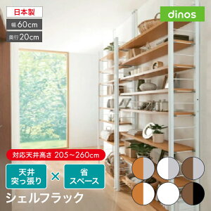 ˂莮߃V[Y VFtbN 60s20cm ˂[ bN {I VFt 588201