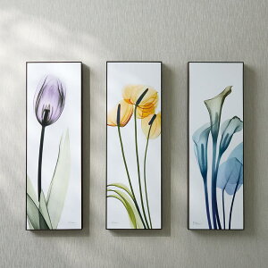 �y�N�[�|���ő�5��~OFF 2/19 20������4h����z X-RAY/�G�b�N�X���C �A�[�g�t���[�� 30cm×90cm �G�� �A�[�g�t���[�� �A�[�g �E�H�[���f�R���[�V���� H92502 �_LINE�F�����o�^�ŃN�[�|���^