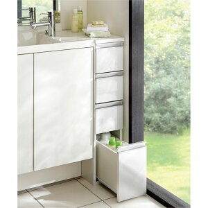 gsv [ɗD Tj^[ԃ`FXg 20cm ʏ[ Ԏ[ gC ʏ h[[ 631012