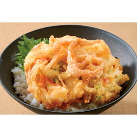 富山湾産 白えびかき揚げ 2食入×5袋 魚 海産加工品 海産物 FJ0239 ＼LINE友だち登録でクーポン／