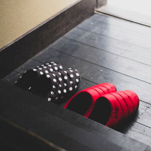 SUBU ~̃T_ 2025 V[Y Xj[J[ t@bVG KR0876