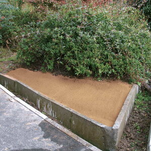 水をかけて固まる土 カチカチ君 ガーデニンググッズ G86102