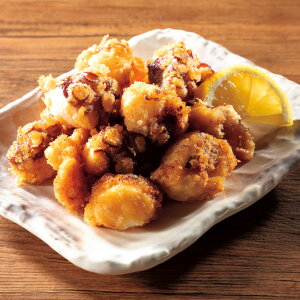 kCYW[V[g300g×2  CYHi CY FK8230