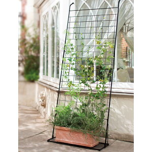 ACAO[J[e v^[t 2g G86720