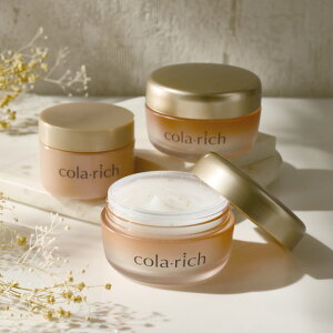 Rb` EX v~AtgWF fBmXʃZbg t N[ XLPA bϕi CA4906