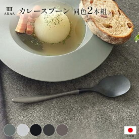 【クーポン10％OFF 7/8】 箸 食器 カトラリー グラス ARAS カレースプーン 同色2本組 WW2080
