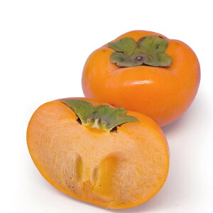 y11͂z ޗǎYuxL`v2.5kg t[c  ʕ FK0715