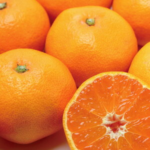 yN[|ő5~OFF 11/14 10z y1͂z ÉY uOPi݂сj݂v 4kg t[c  ʕ FK0717