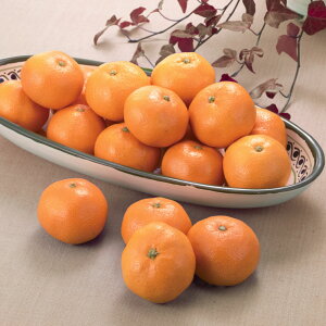 yN[|zz 11271F59z ÉY uViĂ񂩂Ƃjv 3kg t[c  ʕ FK1501