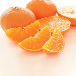 yN[|zz 11271F59z QY uÕi؂jv 3kg t[c  ʕ FK1508