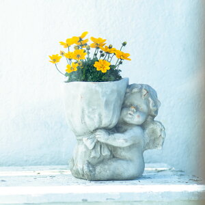 �y�N�[�|��10��OFF 4/17 9�F59���z �G���W�F���K�[�f���u�[�P �v�����^�[ �A�ؔ� ���J�o�[ G03317 �_LINE�F�����o�^�ŃN�[�|���^