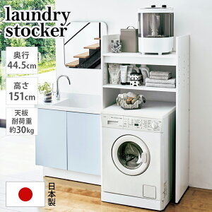 yN[|10OFF 9/20z  t̂悤Ȋ@u s44.5cm^Cv 77cm151cm iΉ bN [ h@ ǖʎ[ [I I It  @