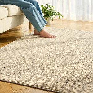 ���190×240cm�� �p�E�_�[�R�b�g�����O ���O �O�~ �J�[�y�b�g �}�b�g 654709 �_LINE�F�����o�^�ŃN�[�|���^