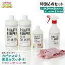 業務用 強力パイプ洗浄剤 「ピカットロンプロ」特別セット 洗浄剤 洗剤 排水溝 ヌメリ 黒カビ 臭い 排水口 お風呂 浴室 水まわり 詰まり 石鹸 ハウスキーピング AR2503
