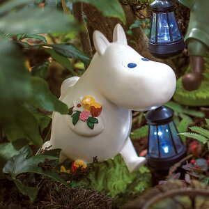 [~V[Y \[[Cg [~ K[f pƖ G87609