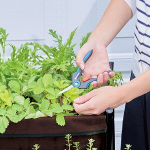 GARDENA�i�K���f�i�j �E�ʉ�؂͂��� �K�[�f�j���O�c�[�� �����p�i G01305 �_LINE�F�����o�^�ŃN�[�|���^
