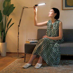 LED GOU[DIVAifB[oj fB[otACg Ɩ Cg v 552204