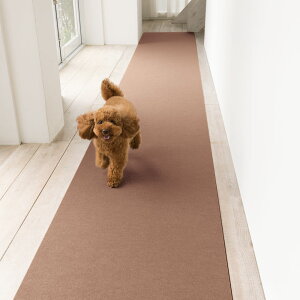 �y�N�[�|���ő�5��~OFF 2/19 20������4h����z �ᒷ��500cm�� �J�e�L�����L���͂��� ���������z�������O�}�b�g ��90cm �y�b�g�p�i 612715 �_LINE�F�����o�^�ŃN�[�|���^