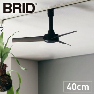 BRID _Ng[t@ DC[^[ BASIC a40cm [ @ T[L[^[ G߉Ɠd Ɠd KR0486