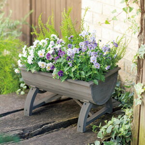 ؐov^[ v^[ Aؔ Jo[ G86207