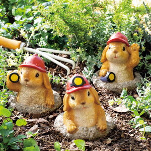 yN[|ő5~OFF 11/22z wbg3Z K[f u G86511