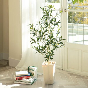 CTG}I[u110Z` tFCN CeAO[ lHϗtA  G88103