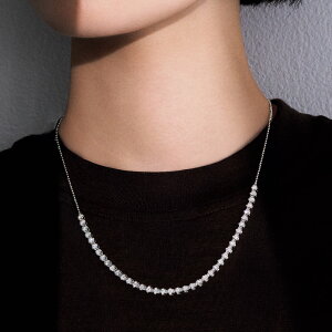 Pt 2ctn[t_C lbNX _Ch WG[ ANZT[ J00110