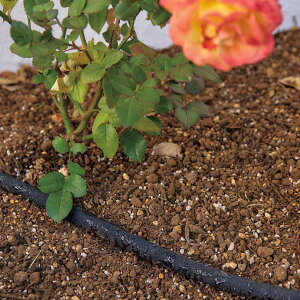 yN[|zz 11271F59z GARDENA/Kfi \[J[z[X15m G85105